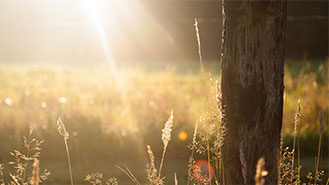 安全交易保障的ddos攻击