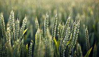 网页在线DDOS压力测试